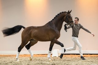 NiksonW_EbonyXBlueHorsZatchmo-02