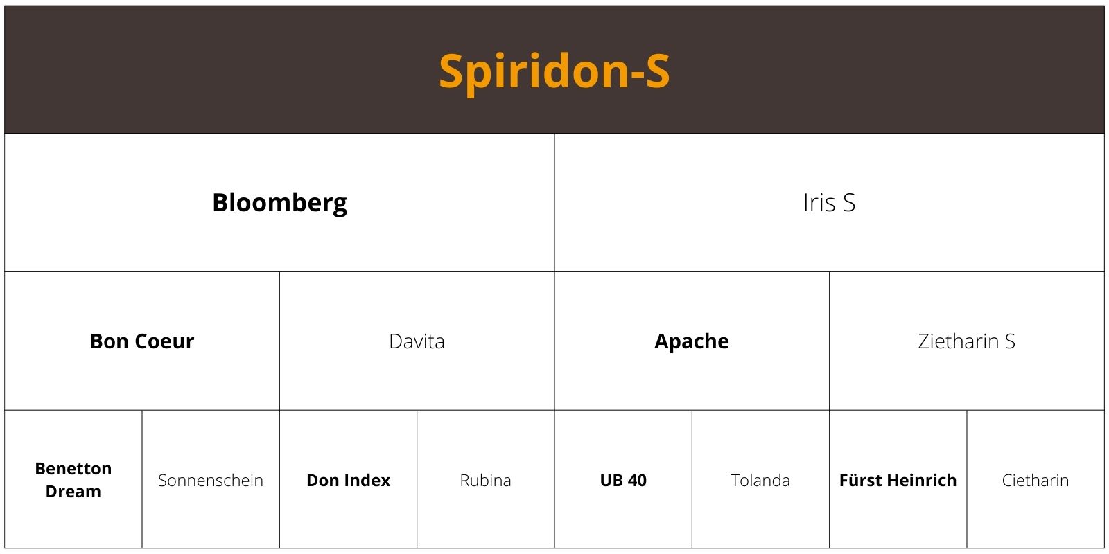 Spiridon-S
