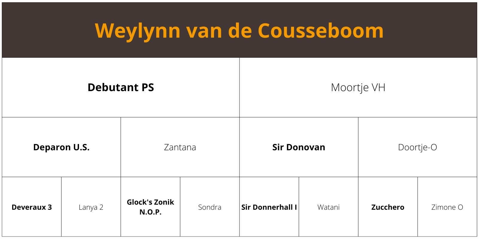 Weylynn van de Cousseboom