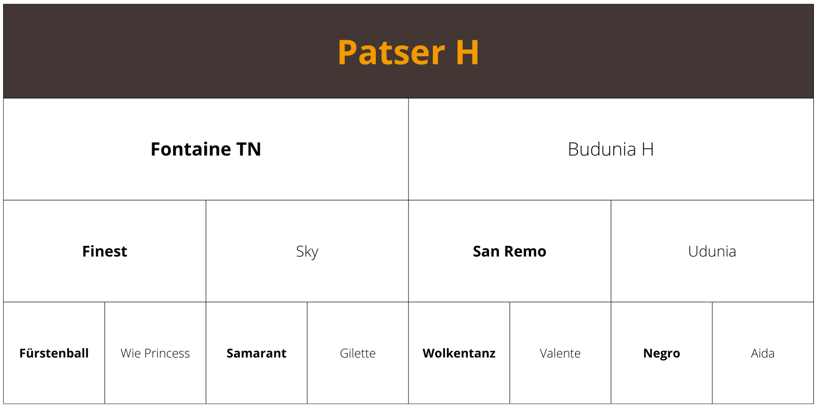Patser H