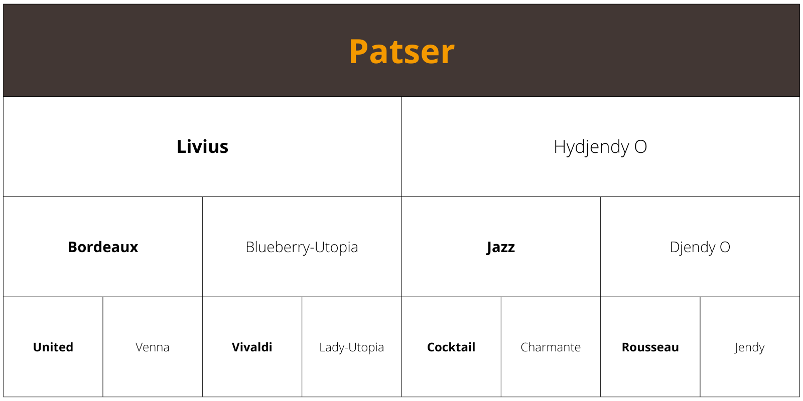 Patser