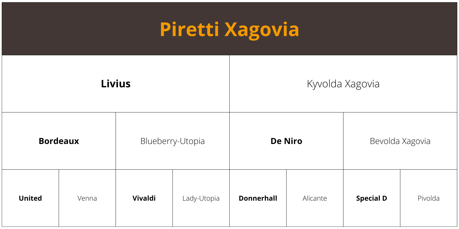 Piretti Xagovia